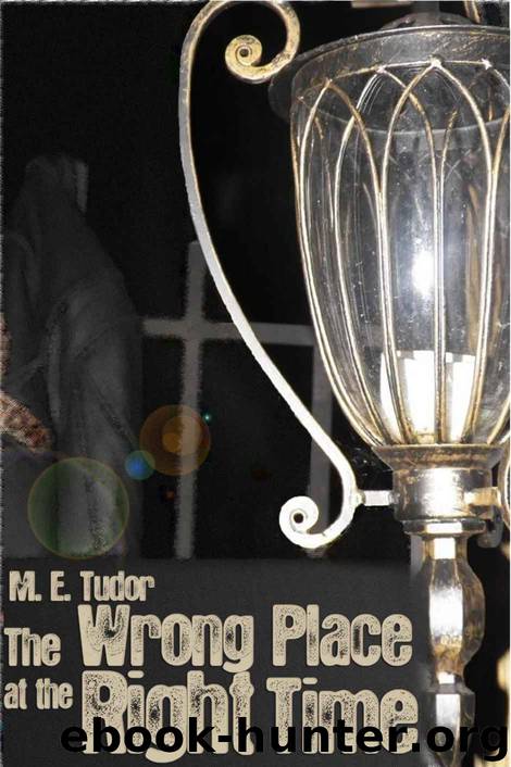 The Wrong Place at the Right Time by M.E. Tudor