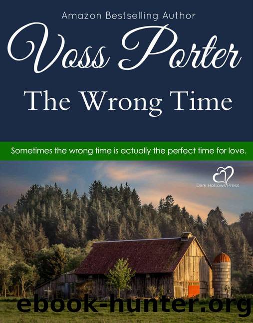 The Wrong Time by Voss Porter