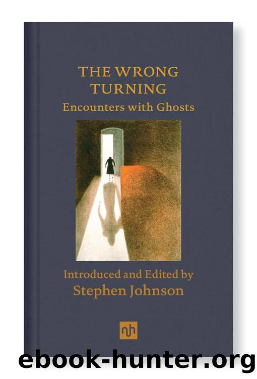 The Wrong Turning by Stephen Johnson