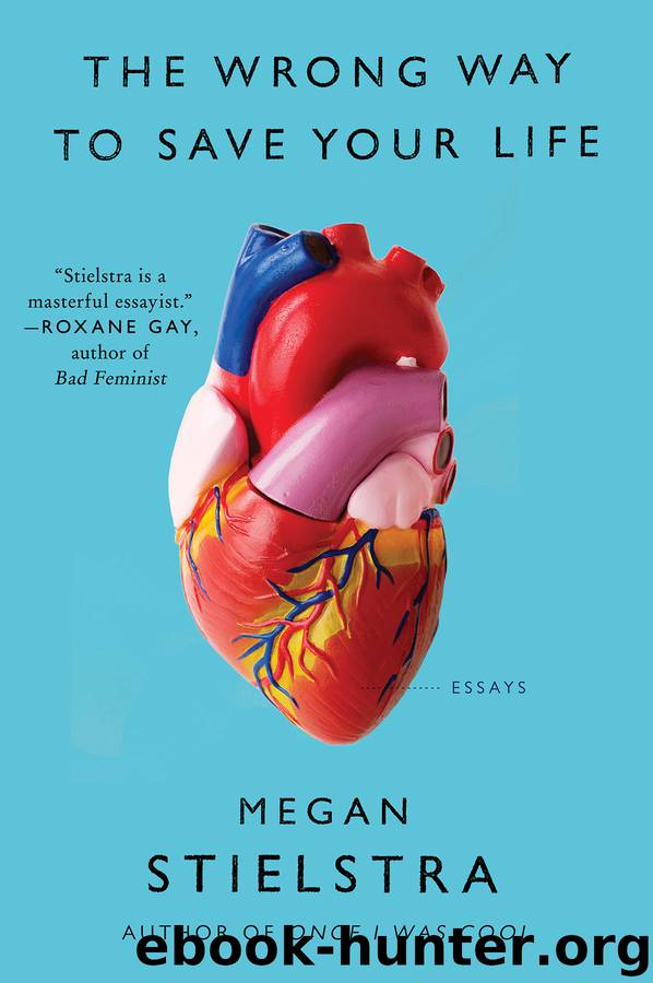The Wrong Way to Save Your Life by Megan Stielstra
