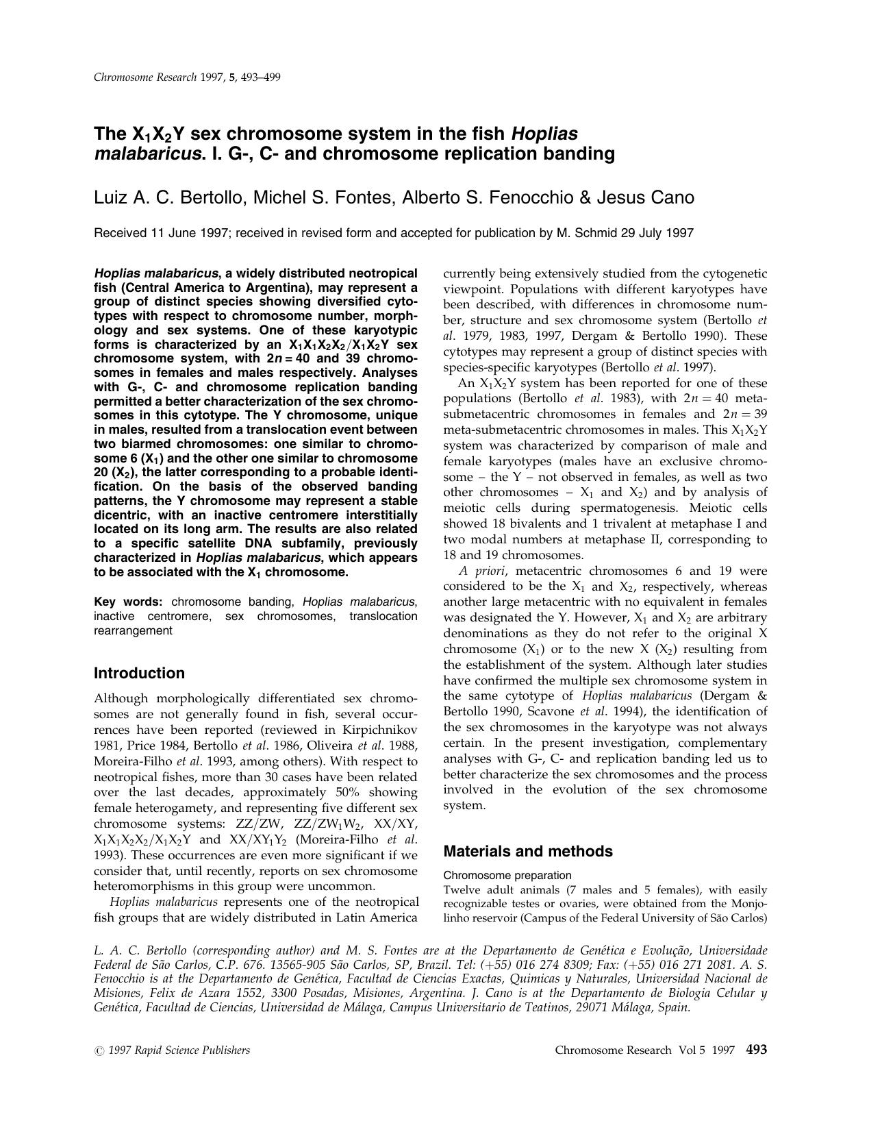 The X1X2Y sex chromosome system in the fish Hoplias malabaricus. I. G-, C- and chromosome replication banding by Unknown