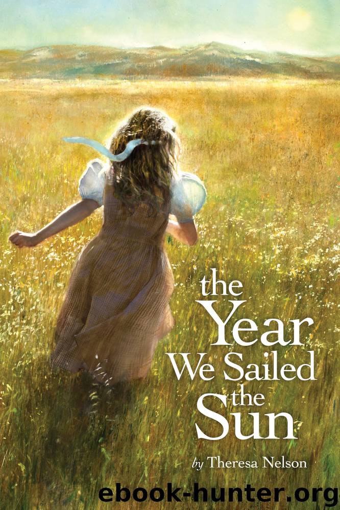 The Year We Sailed the Sun by Theresa Nelson