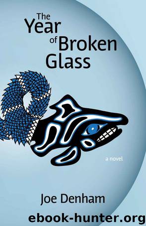 The Year of Broken Glass by Joe Denham