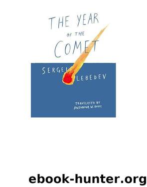The Year of the Comet by Antonina W. Bouis