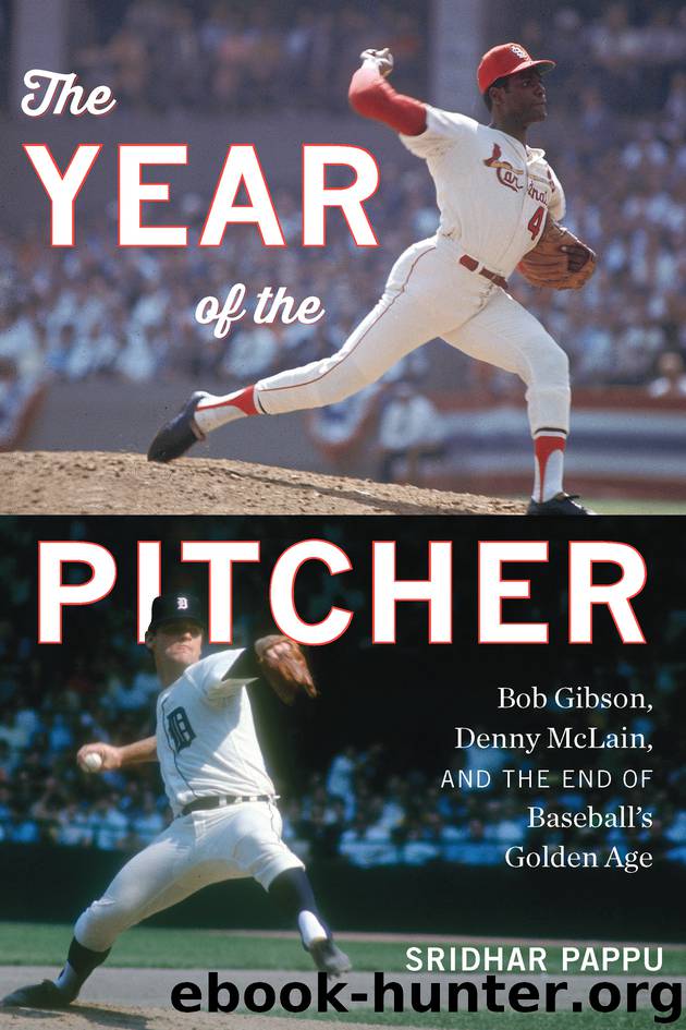 The Year of the Pitcher by Sridhar Pappu