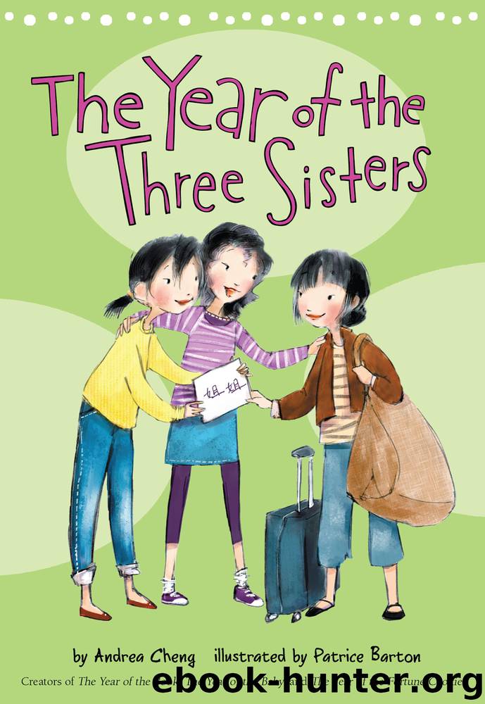The Year of the Three Sisters by Andrea Cheng