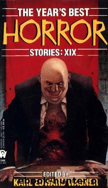 The Year's Best Horror Stories 19 by Karl Edward Wagner