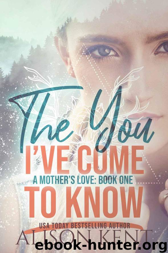 The You I've Come to Know by Alison Kent