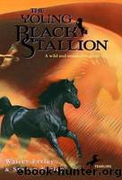 The Young Black Stallion by Farley Steven