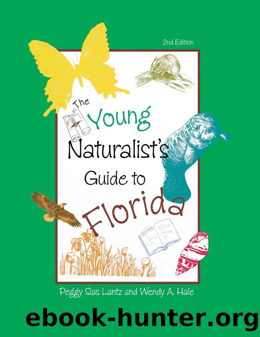 The Young Naturalist's Guide to Florida by Peggy Lantz & Wendy A. Hale