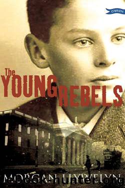 The Young Rebels by Morgan Llywelyn