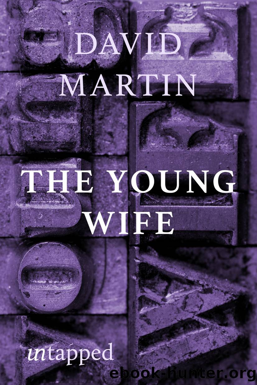 The Young Wife by David Martin