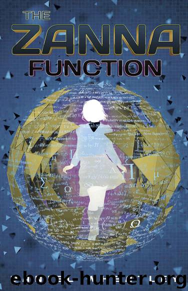 The Zanna Function by Daniel Wheatley