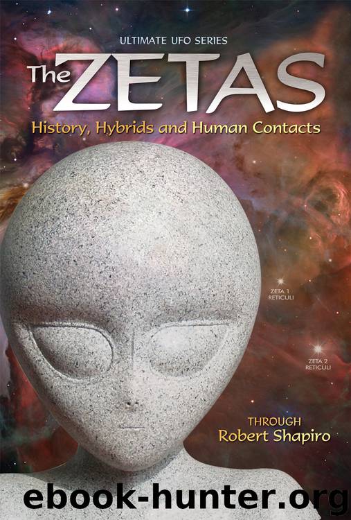 The Zetas: History, Hybrids and Human Contacts (Ultimate UFO Series Book 2) by Shapiro Robert