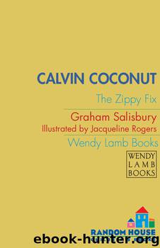 The Zippy Fix by Graham Salisbury