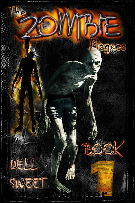 The Zombie Plagues (Book 1) by Sweet Dell