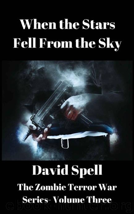 The Zombie Terror War Series (Vol. 3): When the Stars Fell From the Sky by Spell David