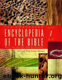 The Zondervan Encyclopedia of the Bible, Volume 1: A-C by Merrill C. Tenney & Zondervan