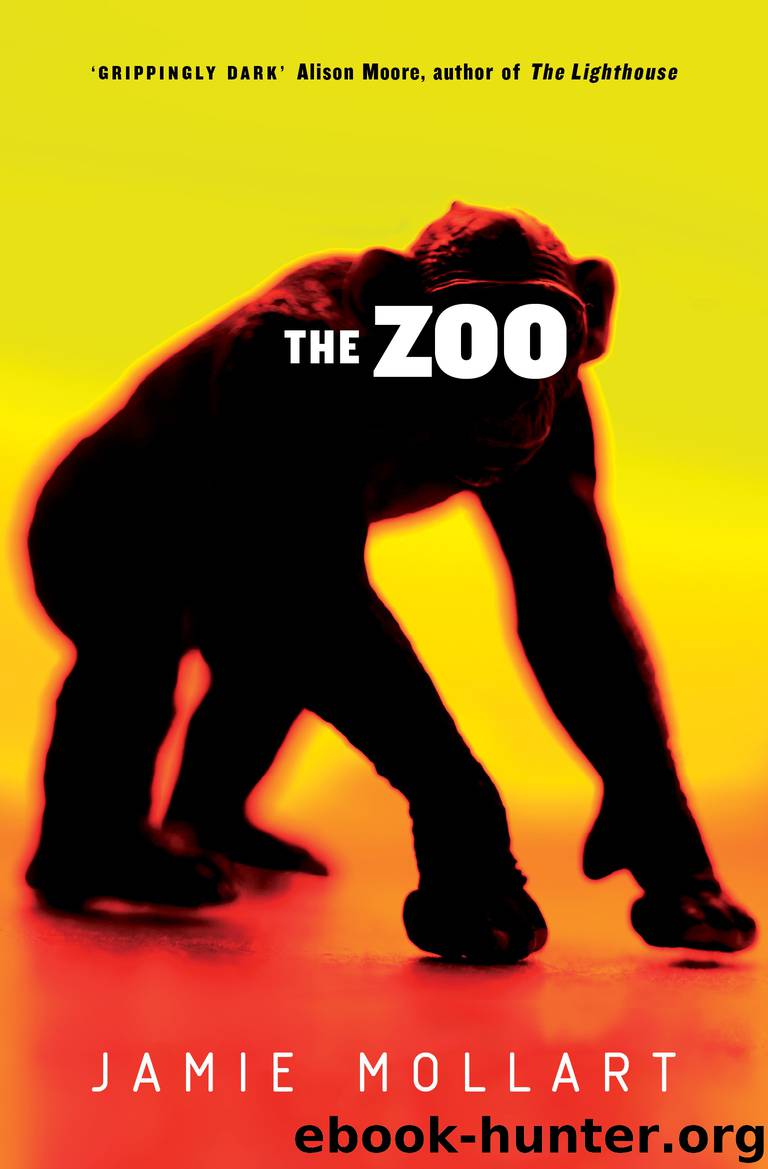 The Zoo by Jamie Mollart