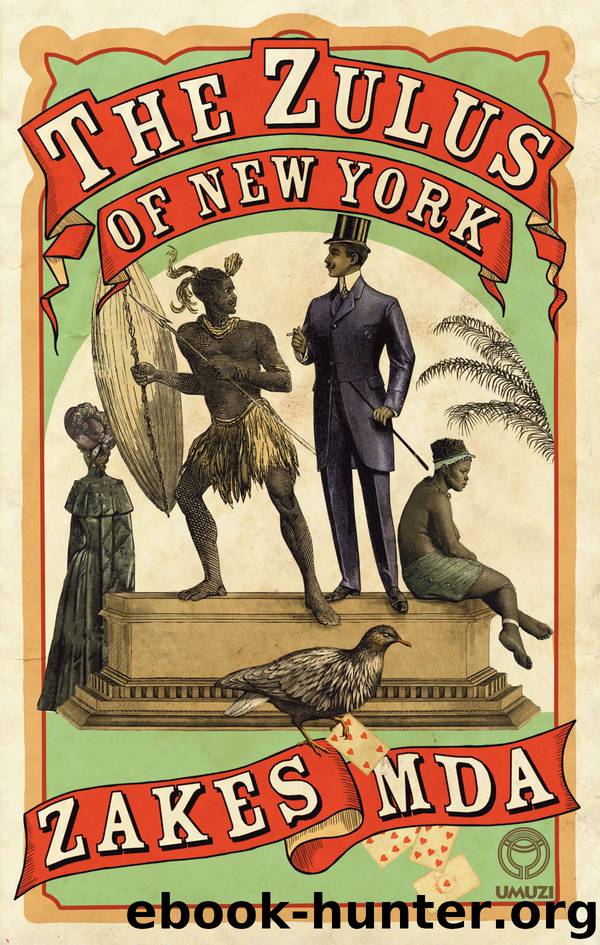 The Zulus of New York by Zakes Mda