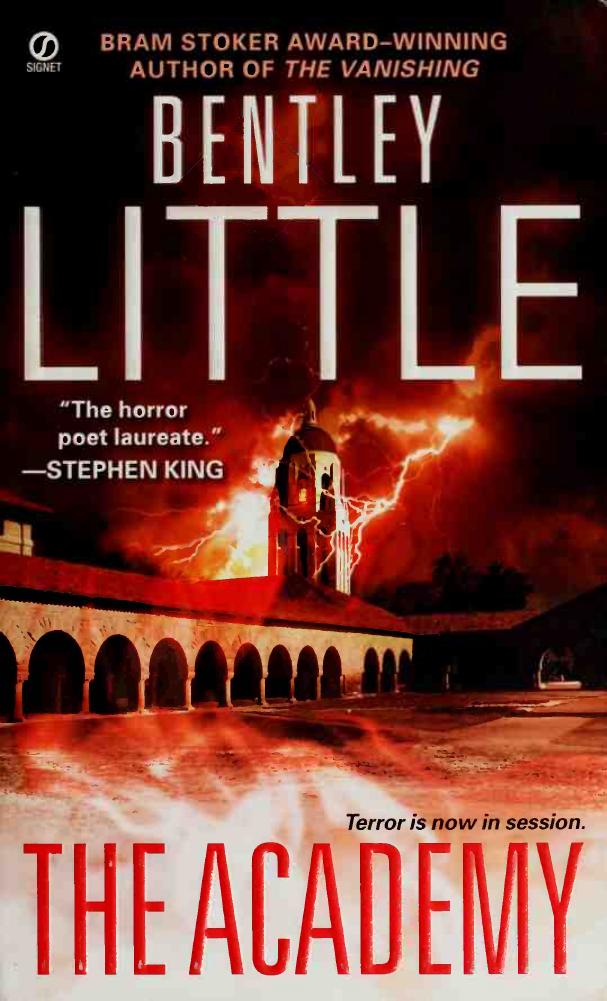 The academy by Little Bentley