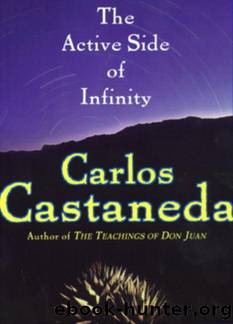 The active side of infinity by Carlos Castaneda