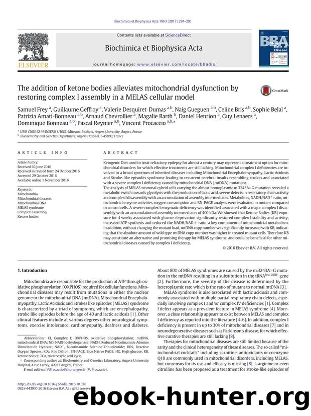 The addition of ketone bodies alleviates mitochondrial dysfunction by restoring complex I assembly in a MELAS cellular model by unknow
