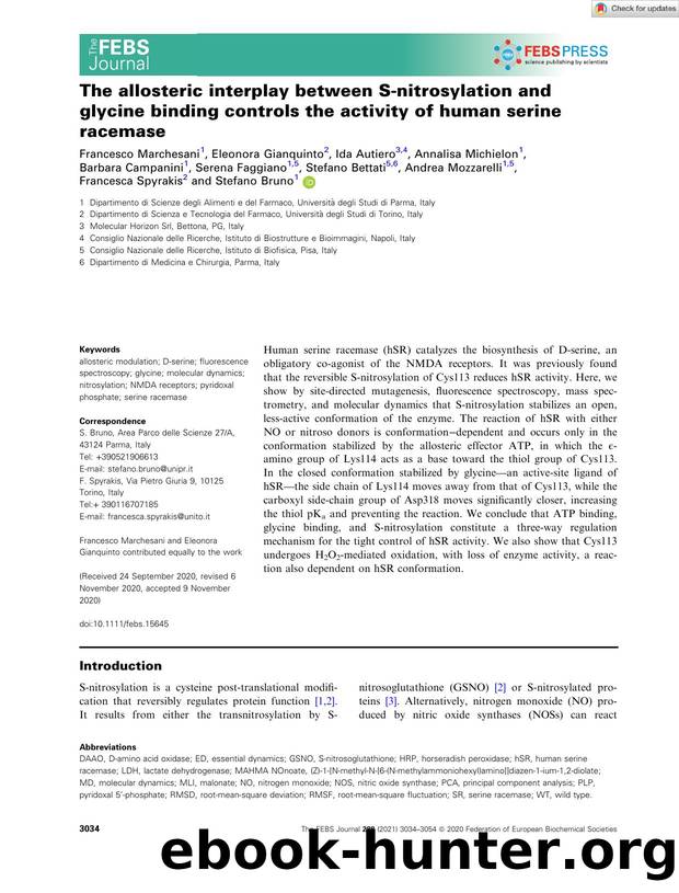 The allosteric interplay between Sânitrosylation and glycine binding controls the activity of human serine racemase by Unknown