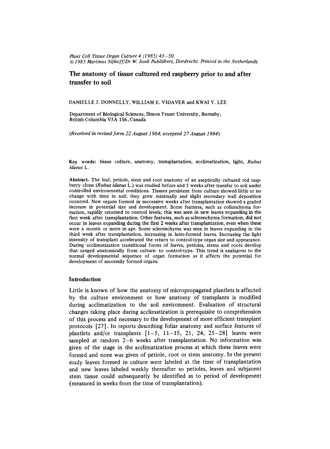 The anatomy of tissue cultured red raspberry prior to and after transfer to soil by Unknown