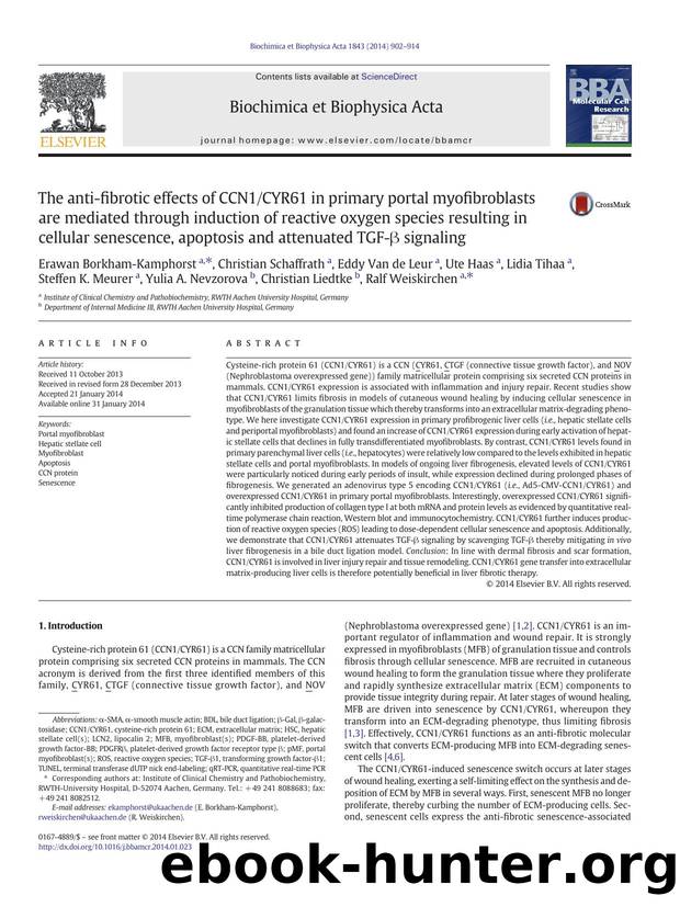 The anti-fibrotic effects of CCN1CYR61 in primary portal myofibroblasts are mediated through induction of reactive oxygen species resulting in cellular senescence, apoptosis and at by unknow