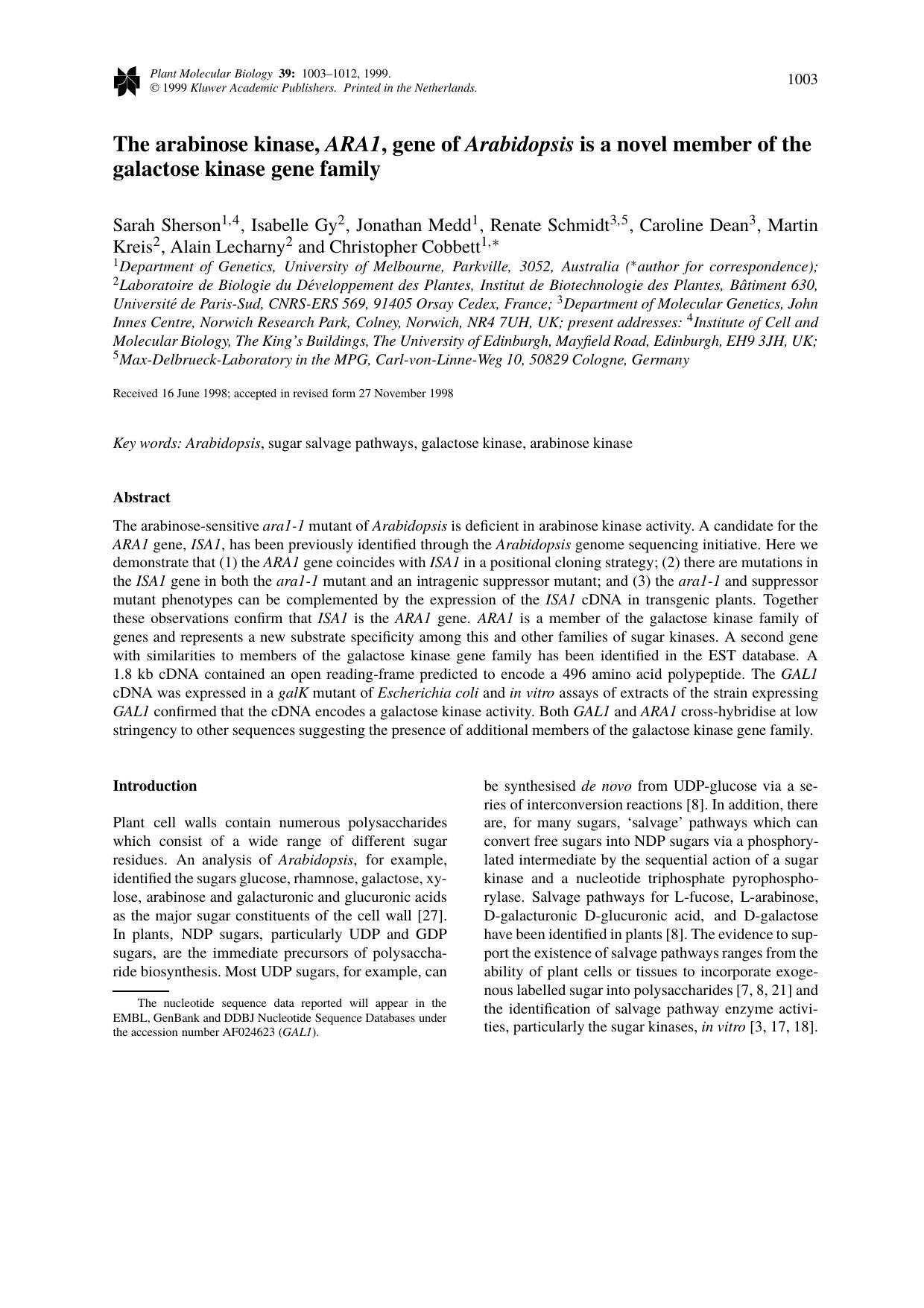The arabinose kinase, ARA1, gene of Arabidopsis is a novel member of the galactose kinase gene family by Unknown