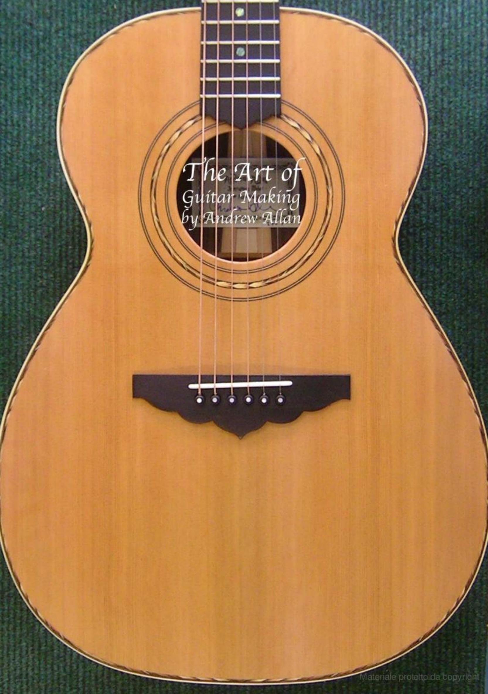 The art of guitar making & major repairs by Andrew Allan