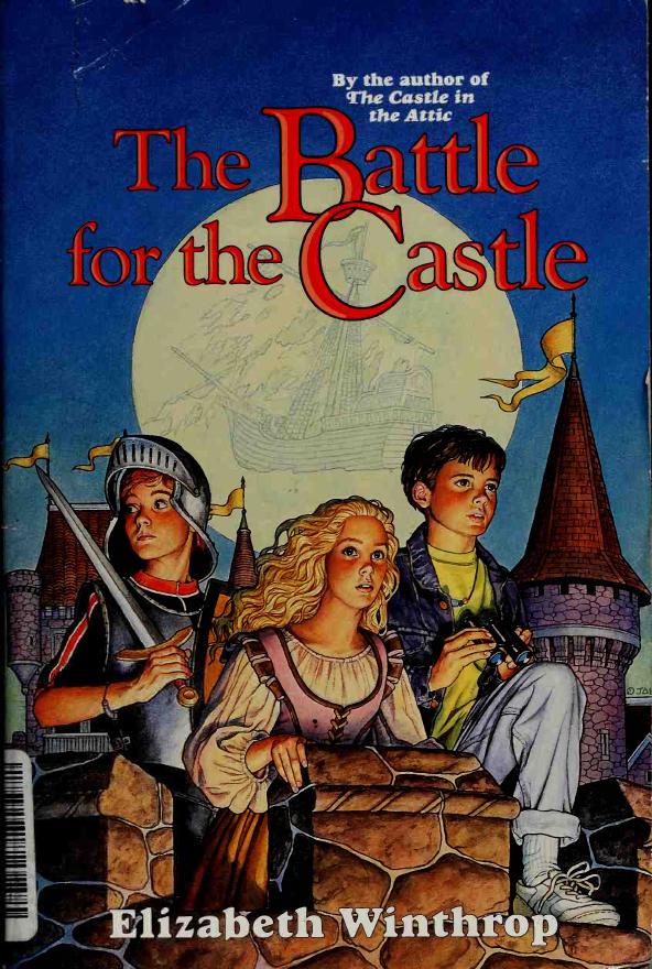 The battle for the castle by Winthrop Elizabeth