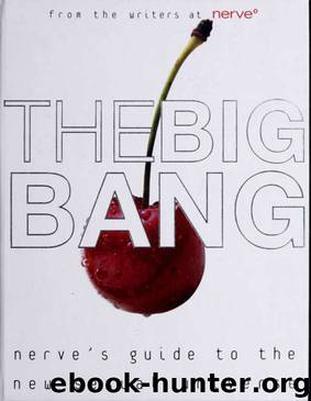 The big bang : Nerve's guide to the new sexual universe by unknow