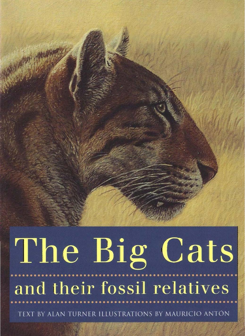 The big cats and their fossil relatives: an illustrated guide to their evolution and natural history by Alan Turner Mauricio Antón