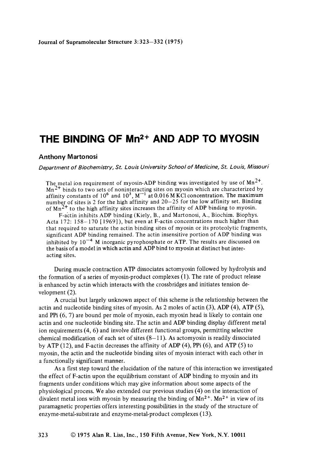 The binding of Mn2+ and ADP to myosin by Unknown