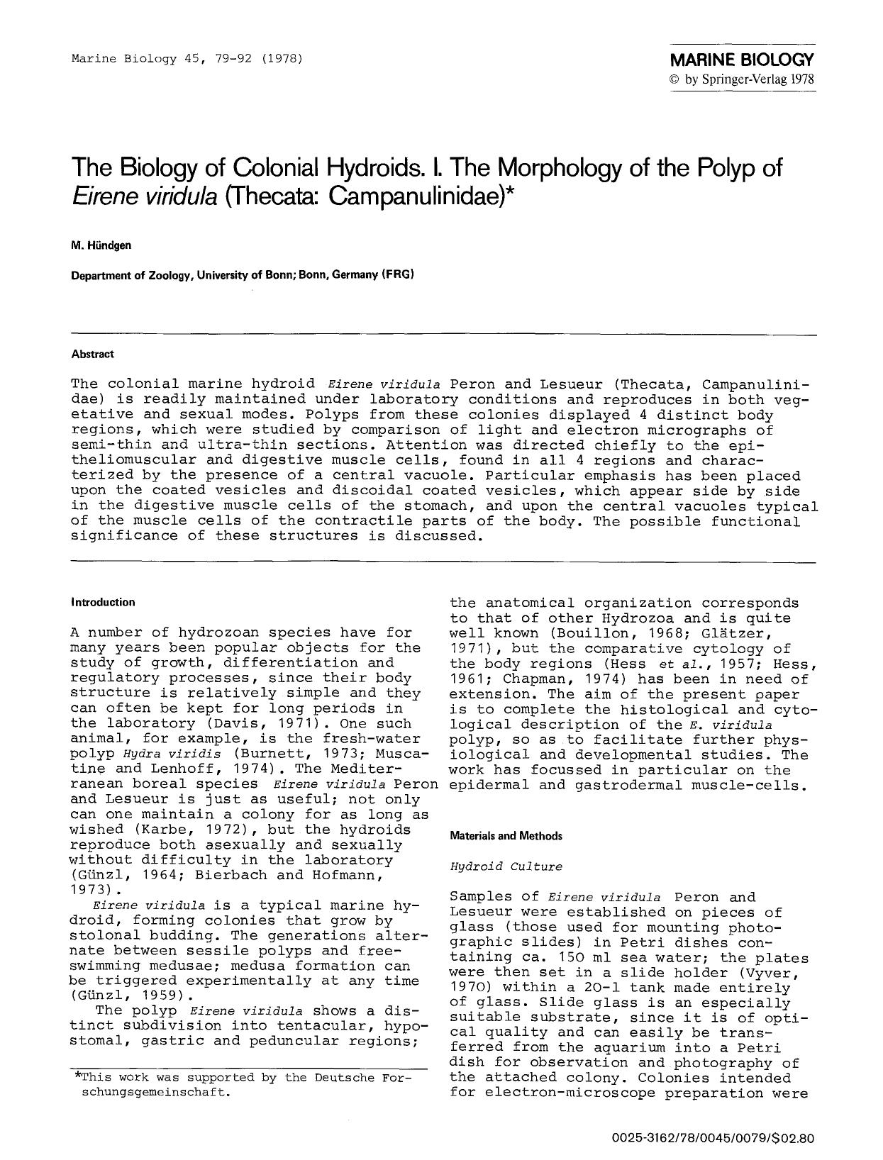 The biology of colonial hydroids. I. The morphology of the polyp of <Emphasis Type="Italic">Eirene viridula<Emphasis> (Thecata: Campanulinidae) by Unknown