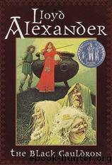The black cauldron by Lloyd Alexander