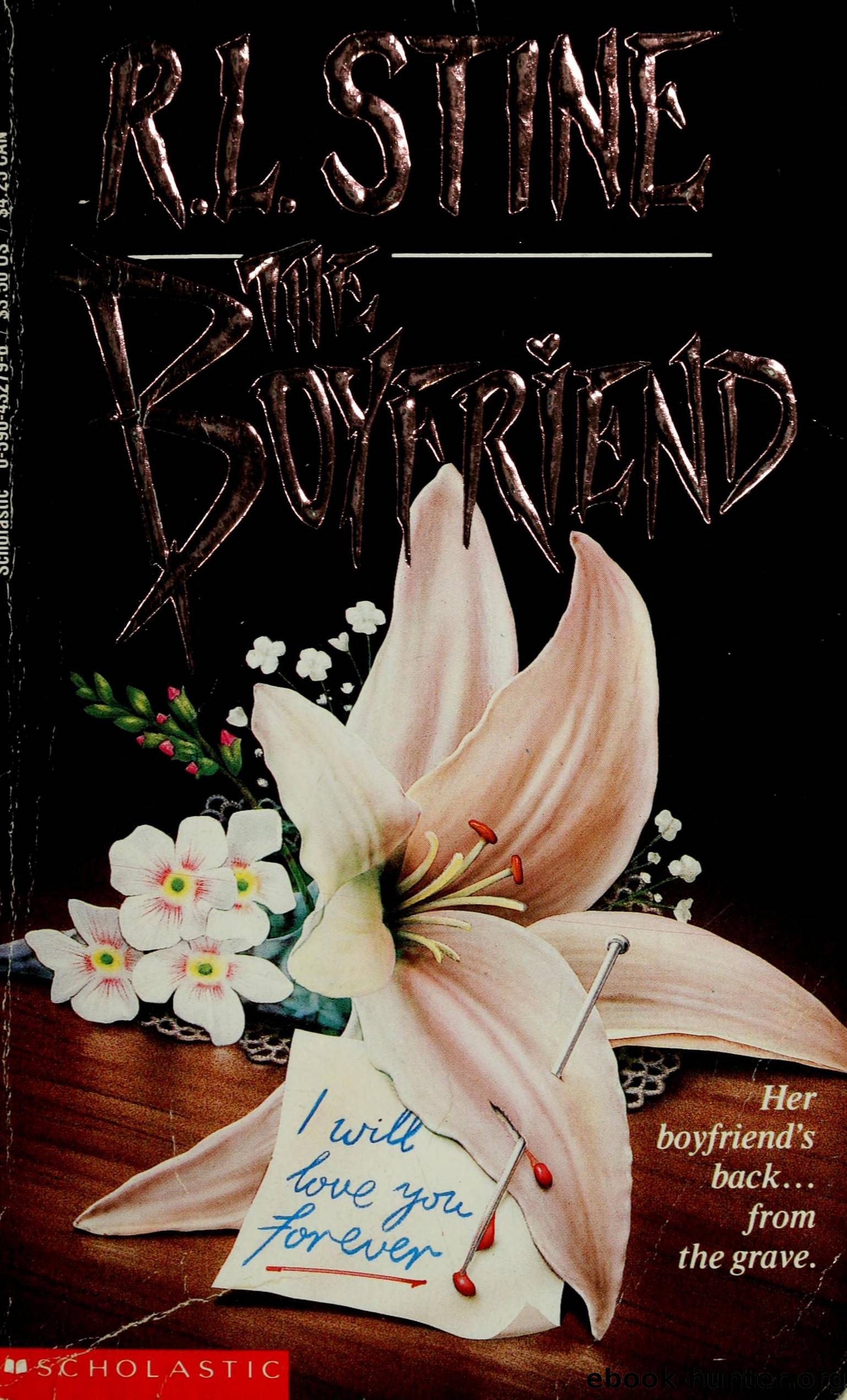 The boyfriend by Stine R. L