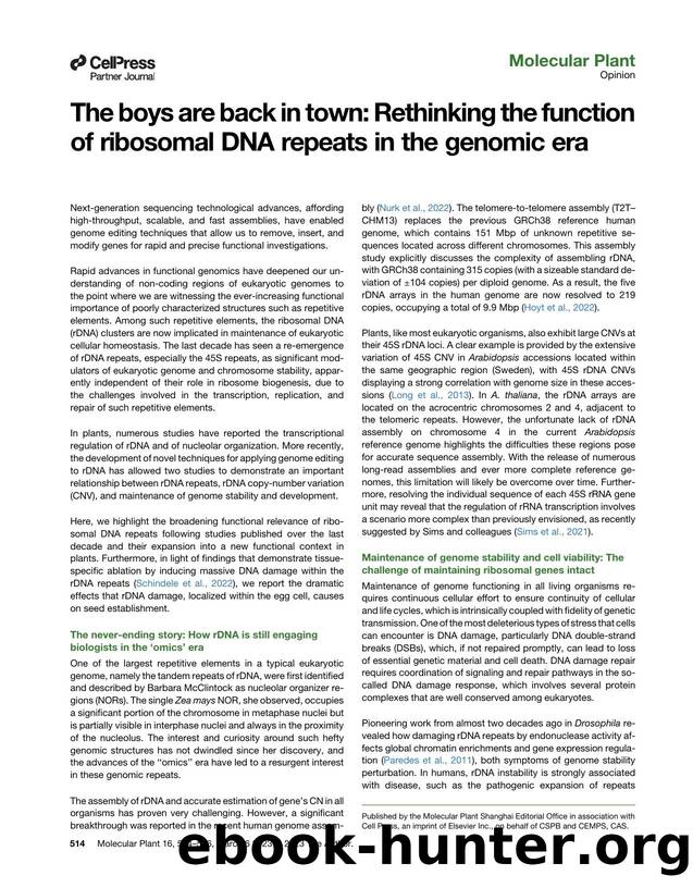 The boys are back in town: Rethinking the function of ribosomal DNA repeats in the genomic era by Francesca B. Lopez & Peter C. McKeown & Antoine Fort & Galina Brychkova & Charles Spillane