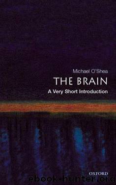 The brain: a very short introduction by Michael O'Shea