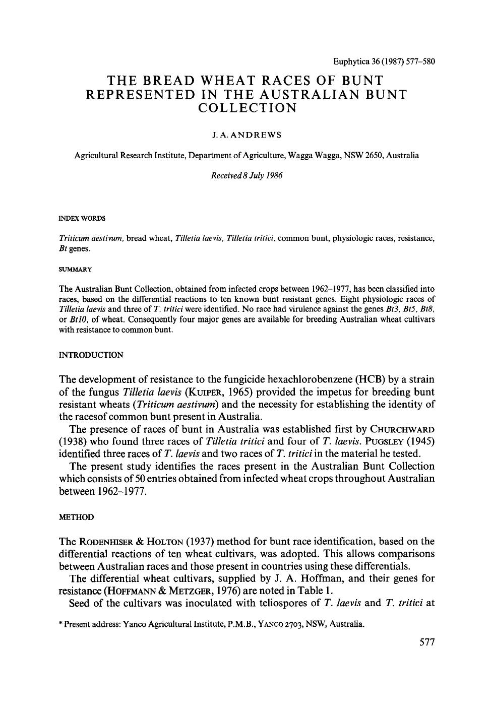 The bread wheat races of bunt represented in the Australian bunt collection by Unknown