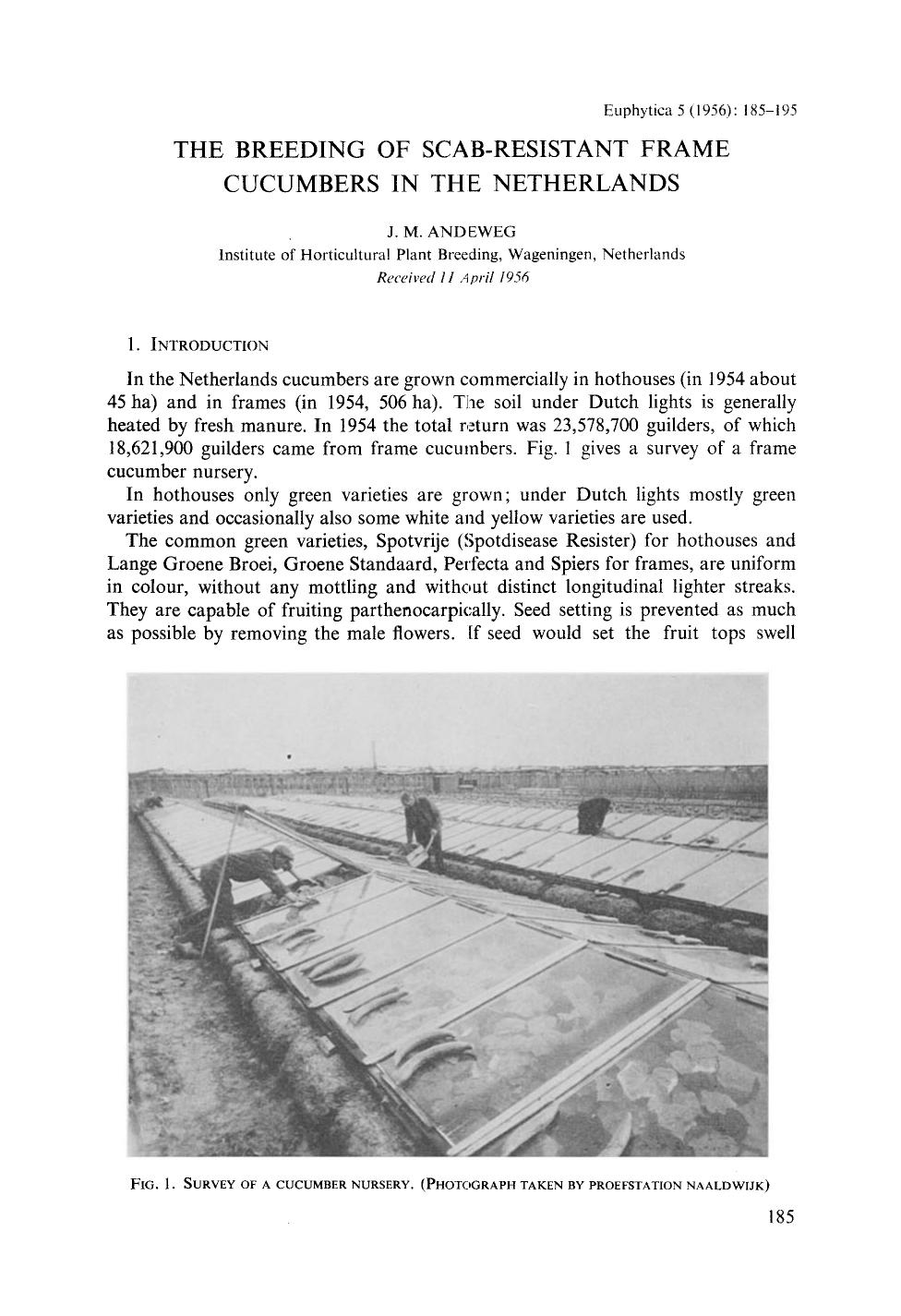 The breeding of scab-resistant frame cucumbers in the Netherlands by Unknown