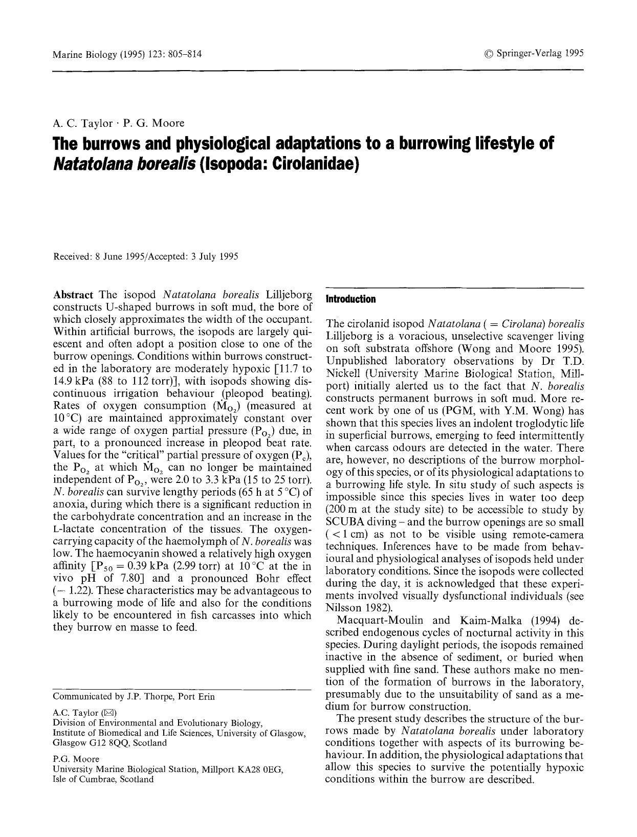 The burrows and physiological adaptations to a burrowing lifestyle of <Emphasis Type="Italic">Natatolana borealis<Emphasis> (Isopoda: Cirolanidae) by Unknown