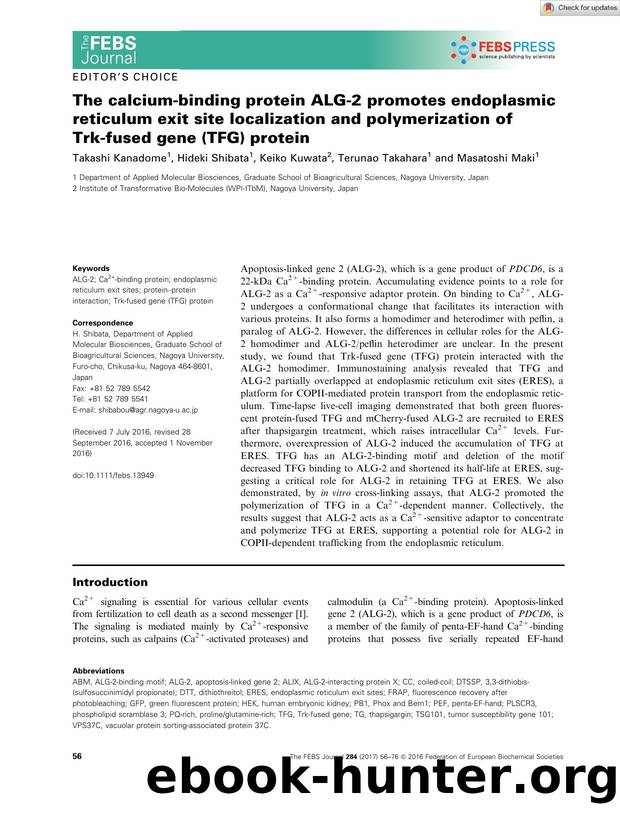 The calciumâbinding protein ALGâ2 promotes endoplasmic reticulum exit site localization and polymerization of Trkâfused gene (TFG) protein by Unknown