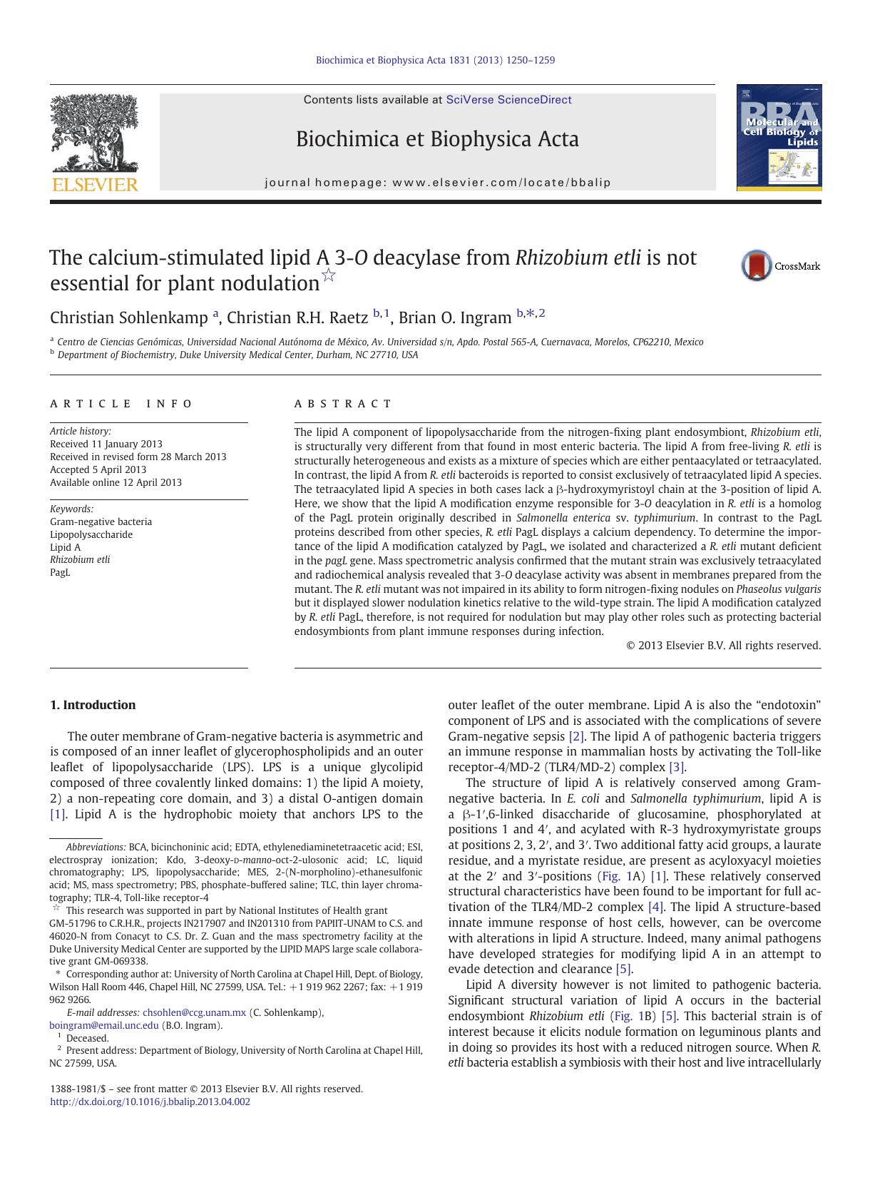 The calcium-stimulated lipid A 3-O deacylase from Rhizobium etli is not essential for plant nodulation by Christian Sohlenkamp & Christian R.H. Raetz & Brian O. Ingram