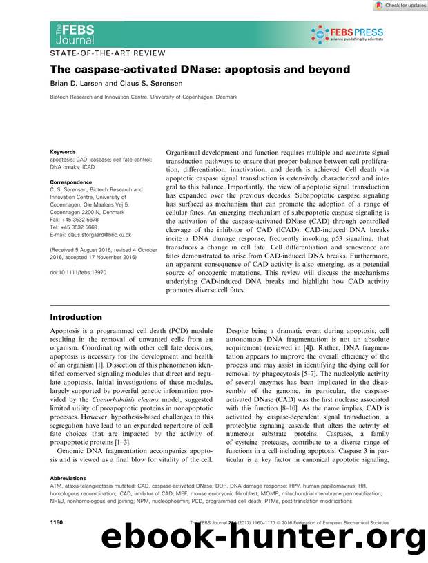 The caspaseâactivated DNase: apoptosis and beyond by Unknown