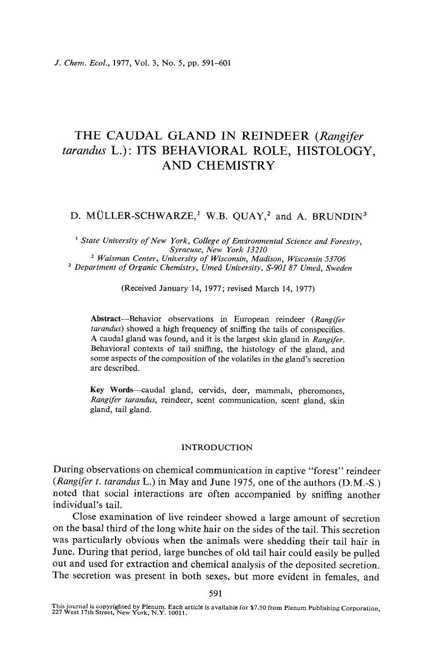 The caudal gland in reindeer ( <Emphasis Type="Italic">Rangifer tarandus <Emphasis> L.): Its behavioral role, histology, and chemistry by Unknown