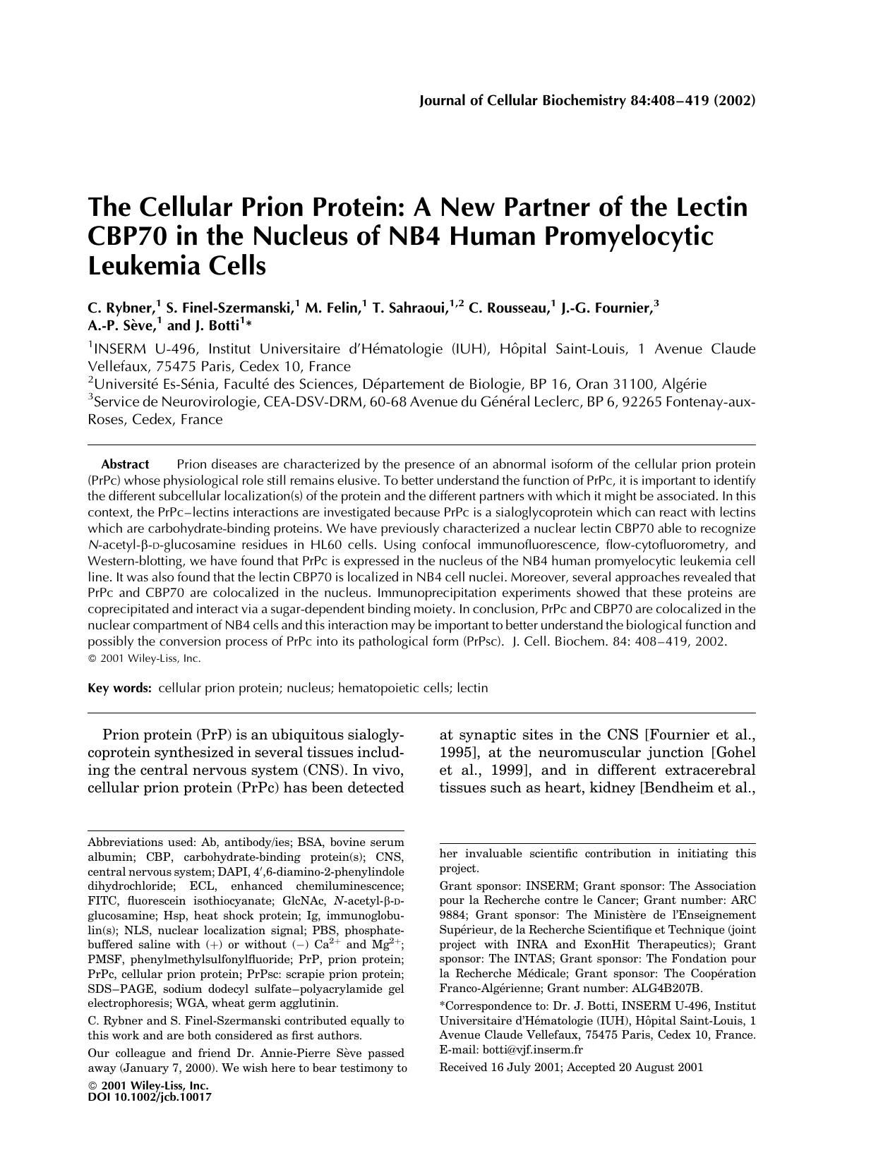 The cellular prion protein: A new partner of the lectin CBP70 in the nucleus of NB4 human promyelocytic leukemia cells by Unknown