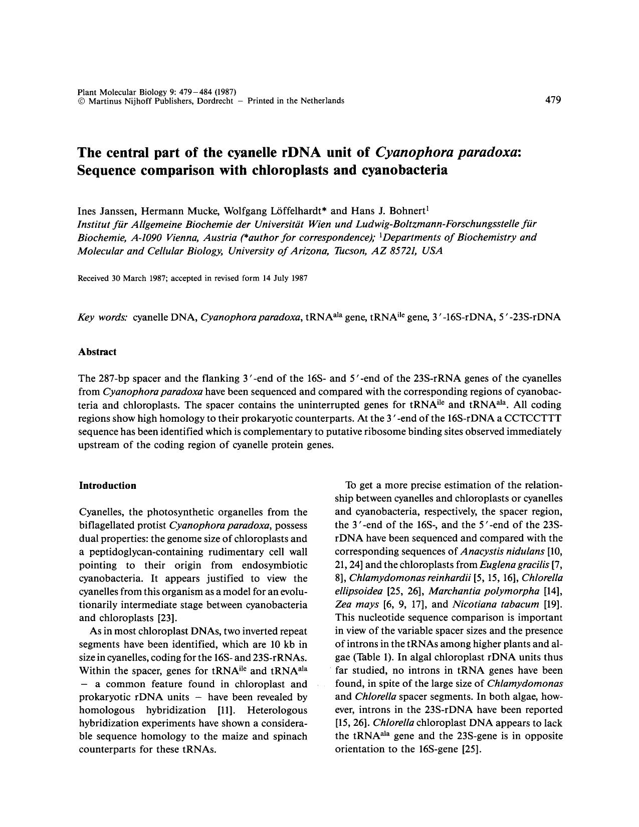 The central part of the cyanelle rDNA unit of <Emphasis Type="Italic">Cyanophora paradoxa <Emphasis>: Sequence comparison with chloroplasts and cyanobacteria by Unknown